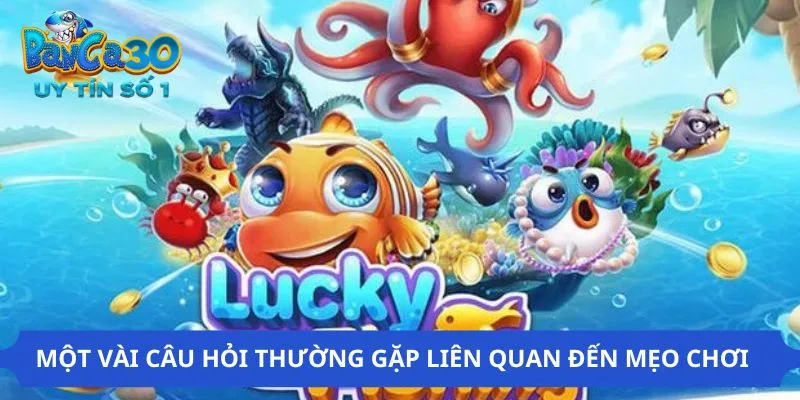 Các câu hỏi thường gặp