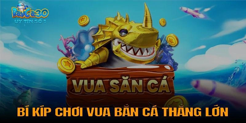 Chiến thuật săn cá thắng lớn