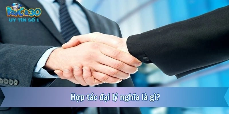 Hợp tác đại lý nghĩa là gì?