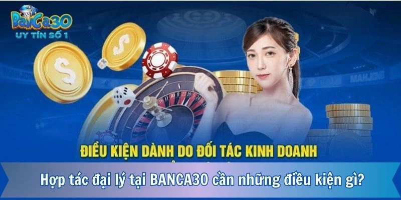 Hợp tác đại lý tại BANCA30 cần những điều kiện gì?