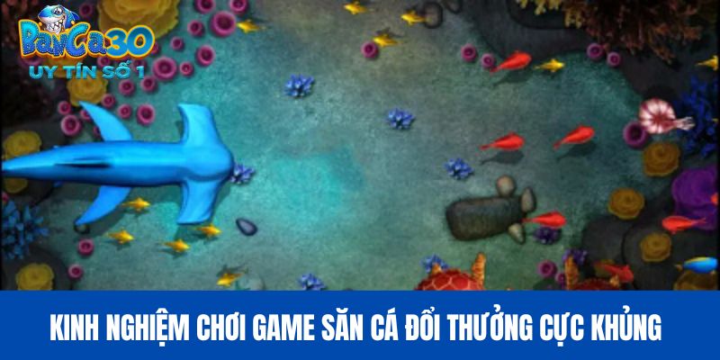 Kinh nghiệm chơi game săn cá đổi thưởng cực khủng