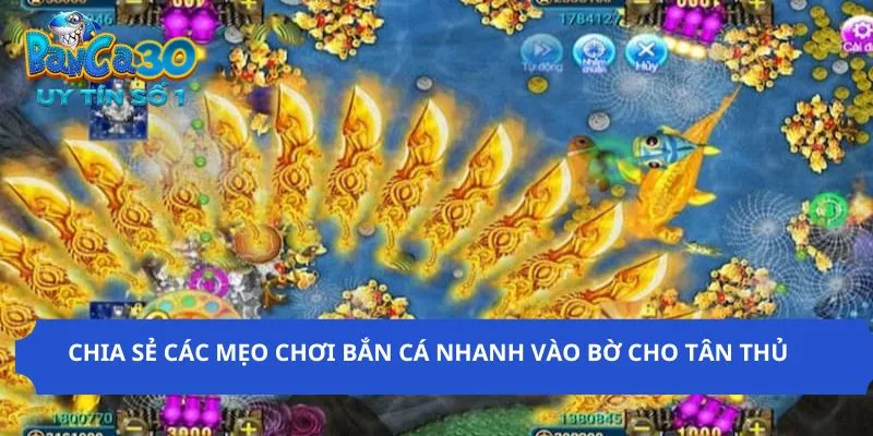 Mẹo chơi vào bờ đơn giản