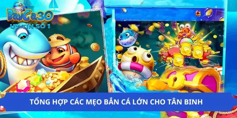 Một vài mẹo bắn cá lớn