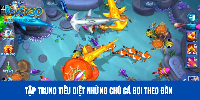 Tập trung tiêu diệt những chú cá bơi theo đàn