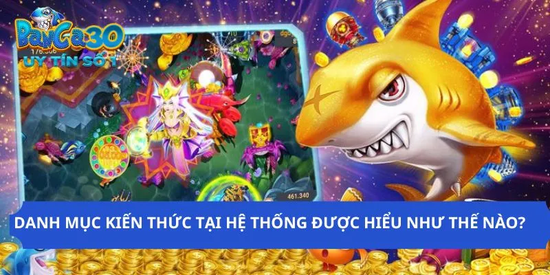 Vài thông tin cơ bản